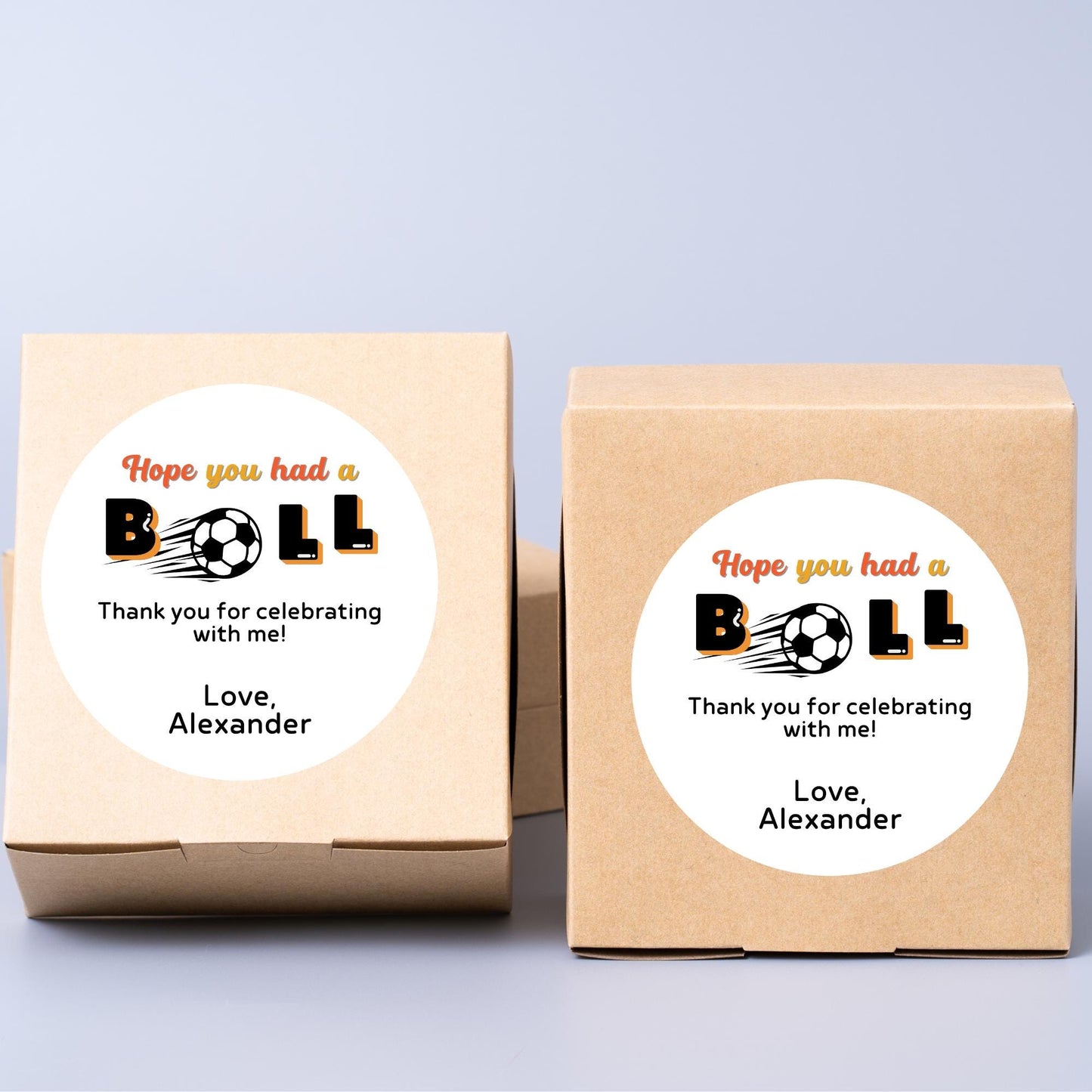 Personalized Hope you had a Ball Birthday Stickers, Custom Sports Birthday Party Favor Goody Bag Labels, Thank you for coming Stickers