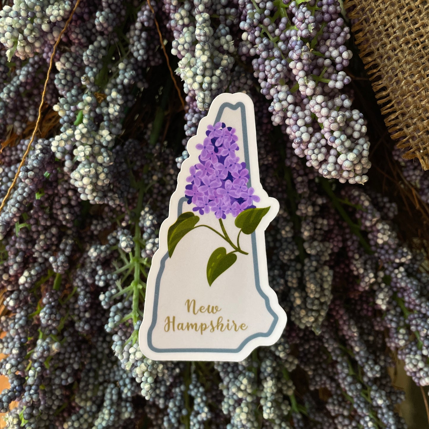 New Hampshire State Flower Vinyl Sticker