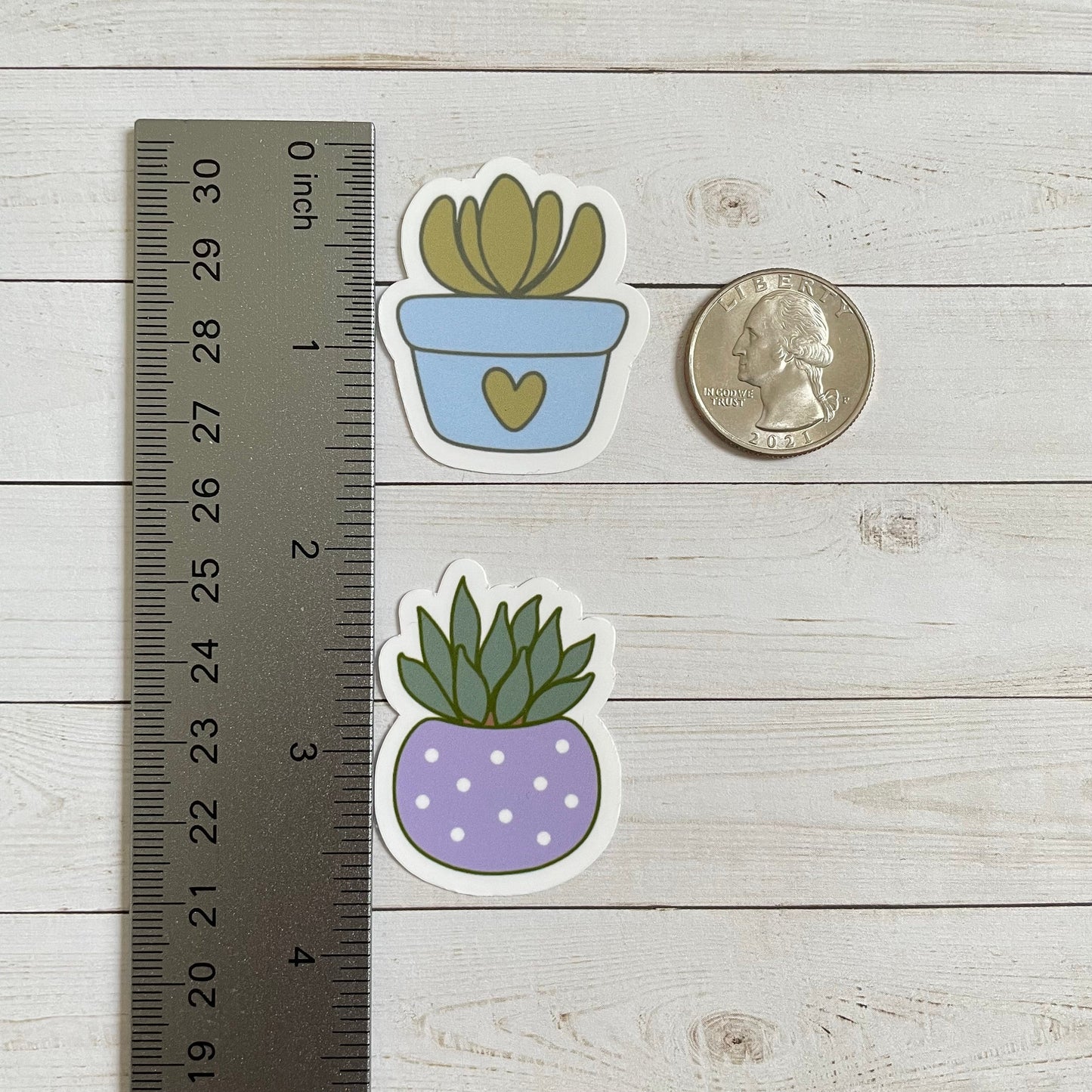 Cactus Vinyl Sticker Set