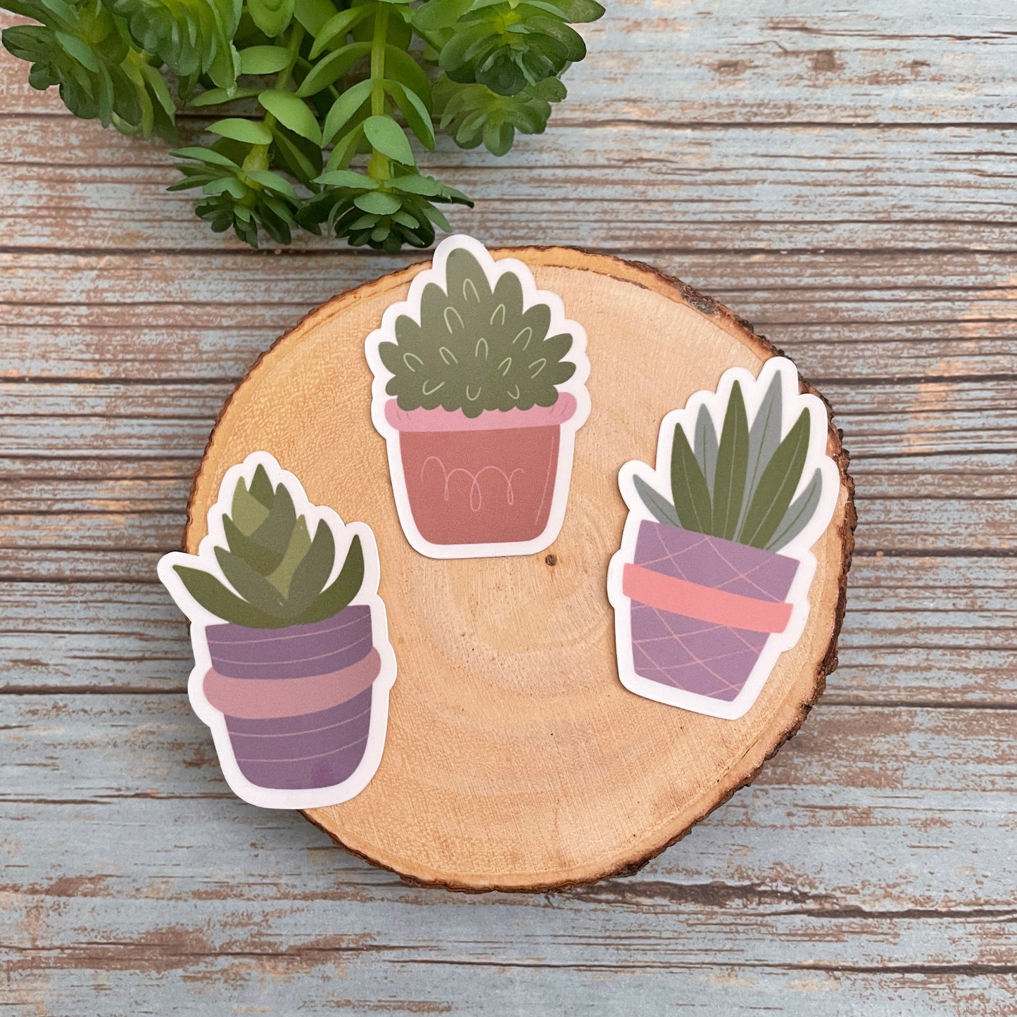 House Plants Sticker Set