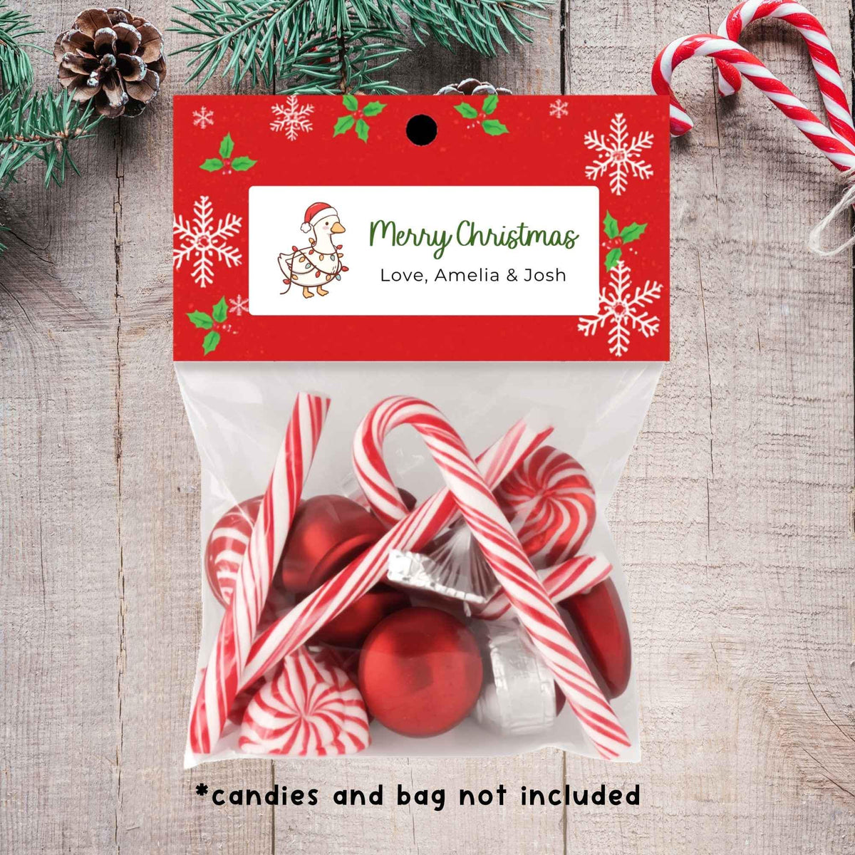 Personalized Christmas Goose and Lights Return Address Stickers, Custom Holiday Name Gift Bag Labels