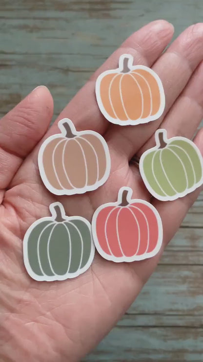 Pumpkin Vinyl Stickers | Set of 5, Glossy or Matte Finish, Fall Pumpkin Seasonal Stickers, Fall Season Sticker, Autumn Glassware Stickers