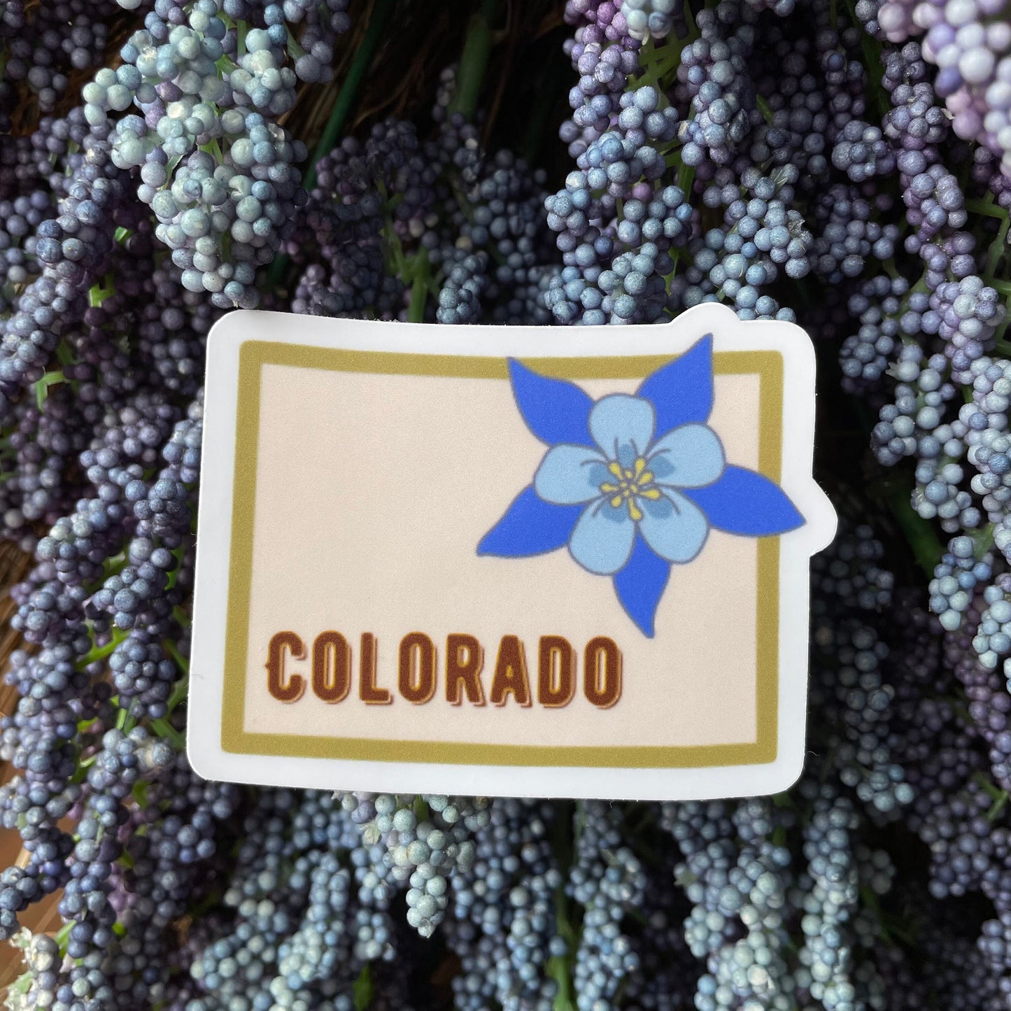 Colorado State Flower Vinyl Sticker