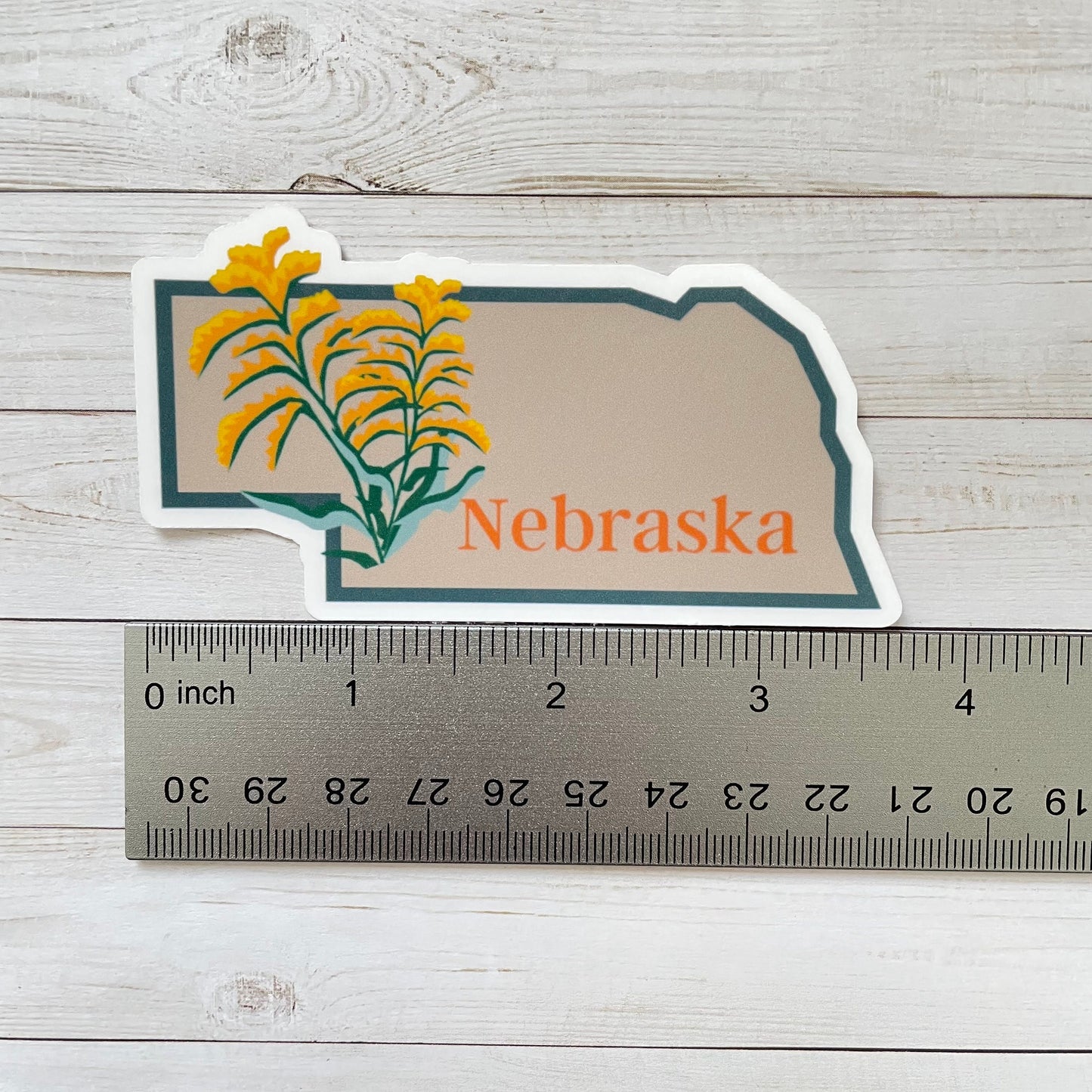 Nebraska State Flower Vinyl Sticker