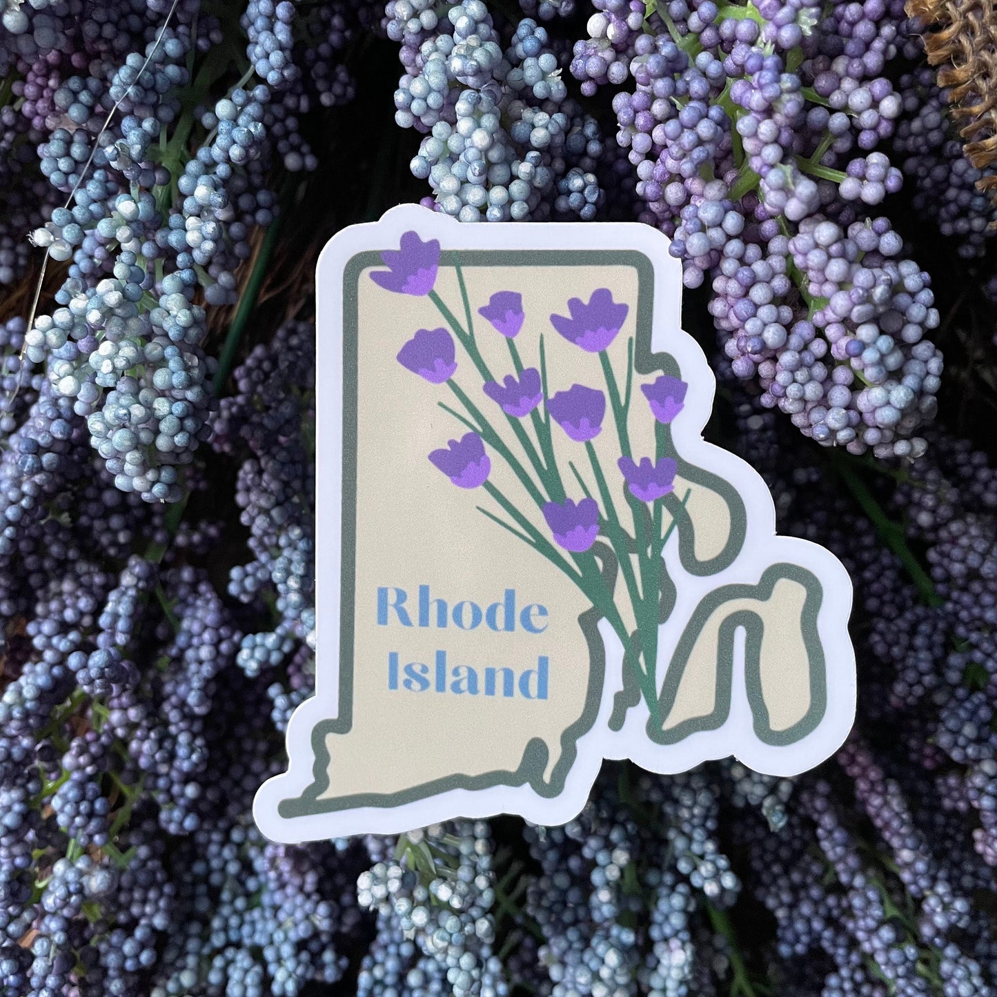 Rhode Island State Flower Vinyl Sticker