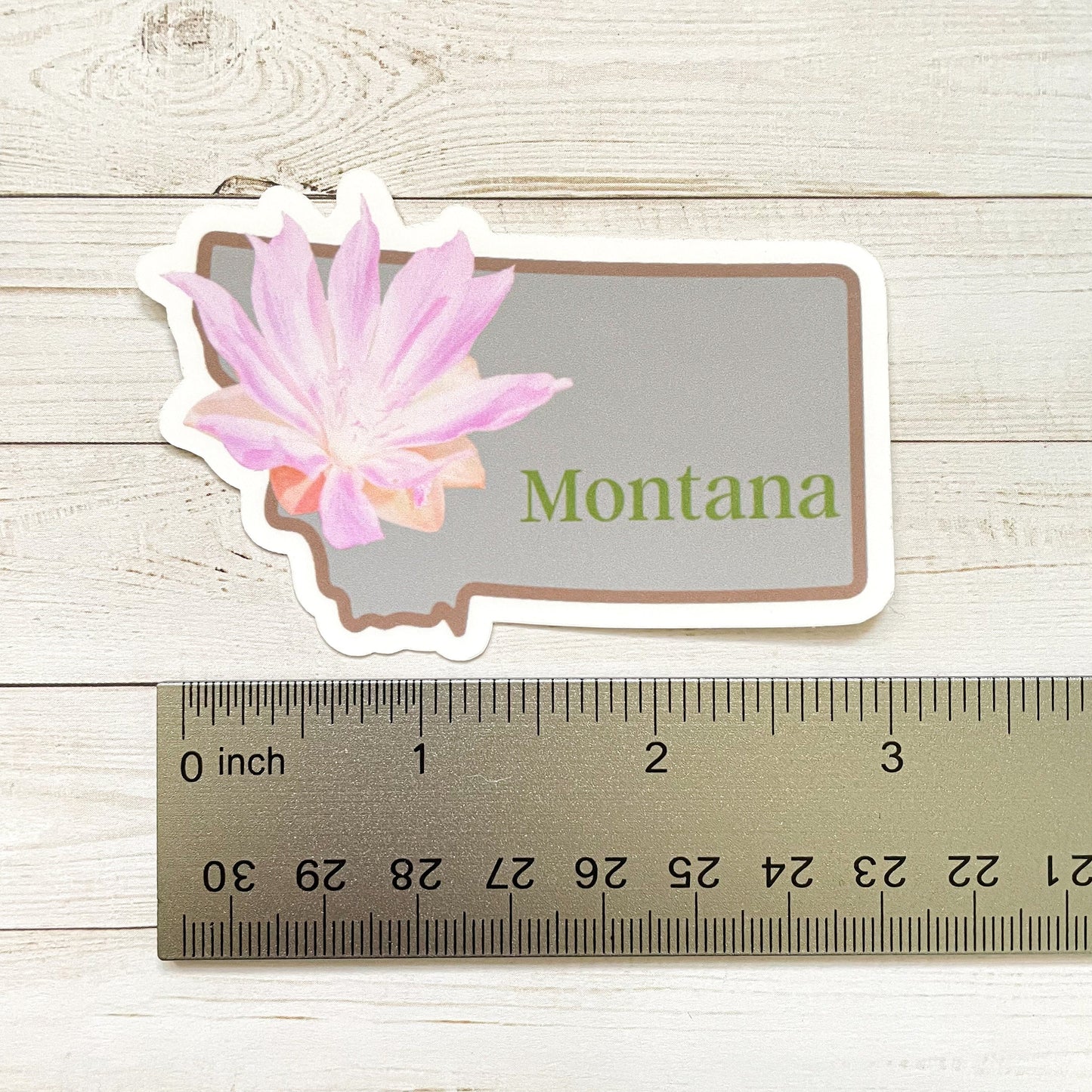 Montana State Flower Vinyl Sticker