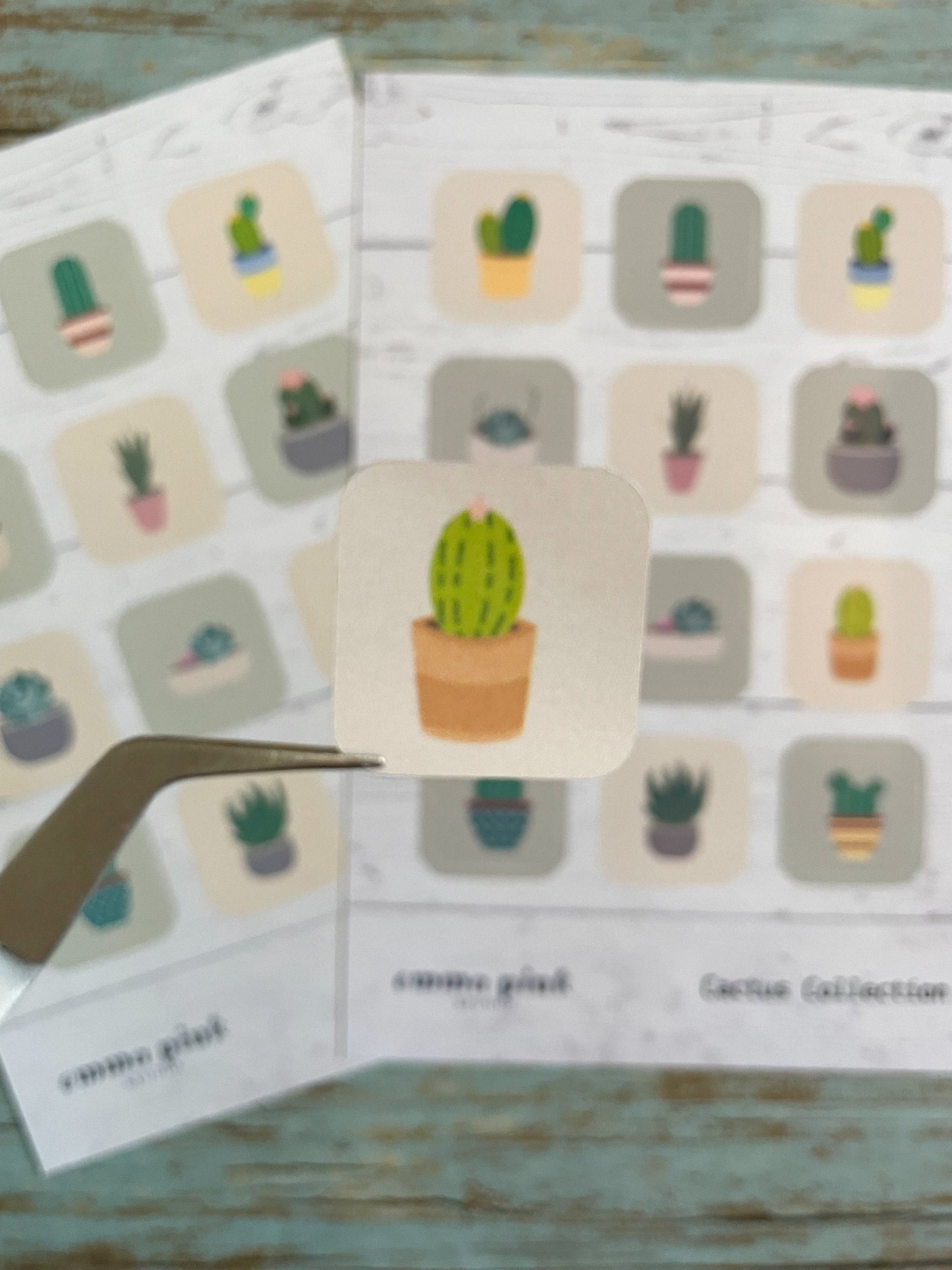 Cactus Sticker Sheet