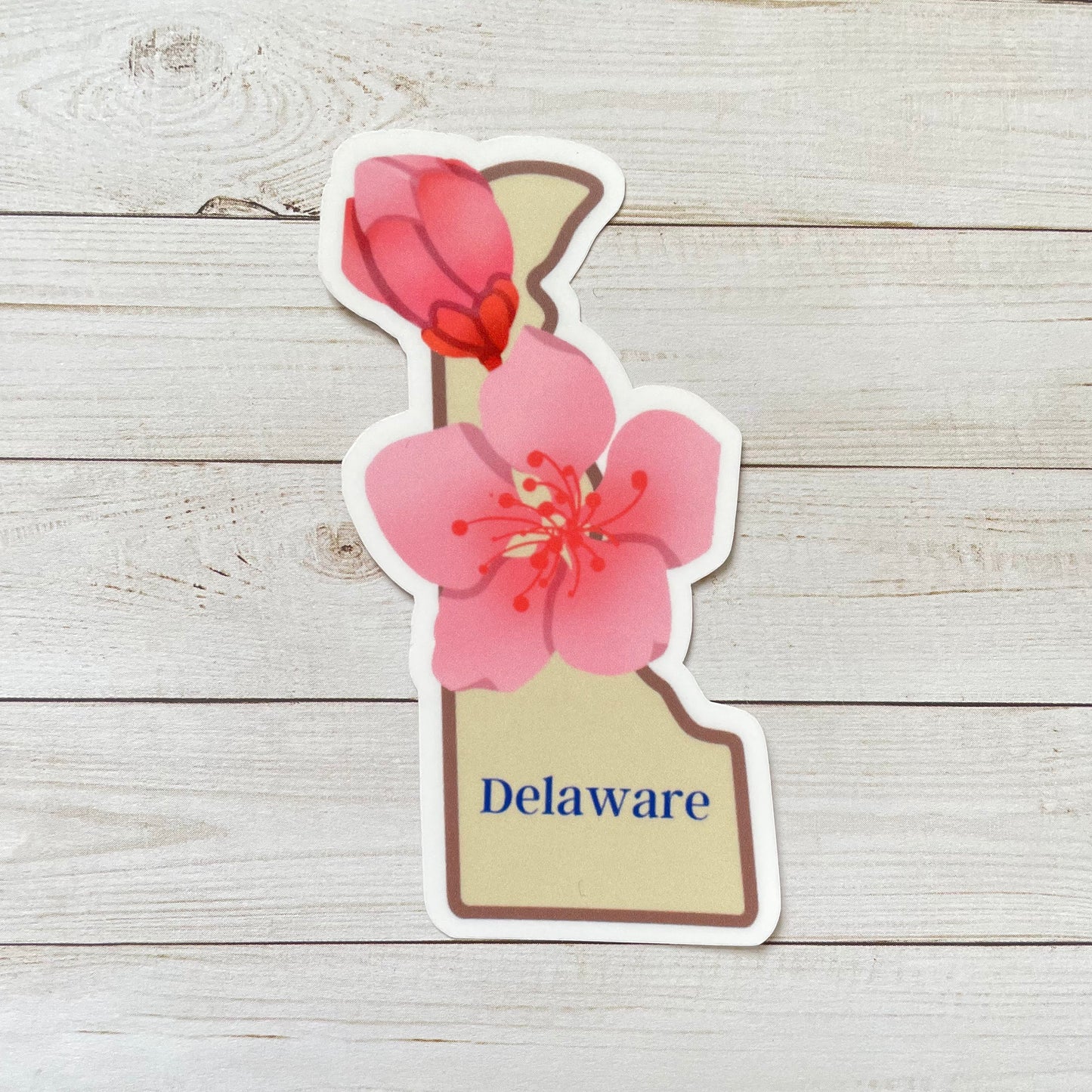 Delaware State Flower Vinyl Sticker