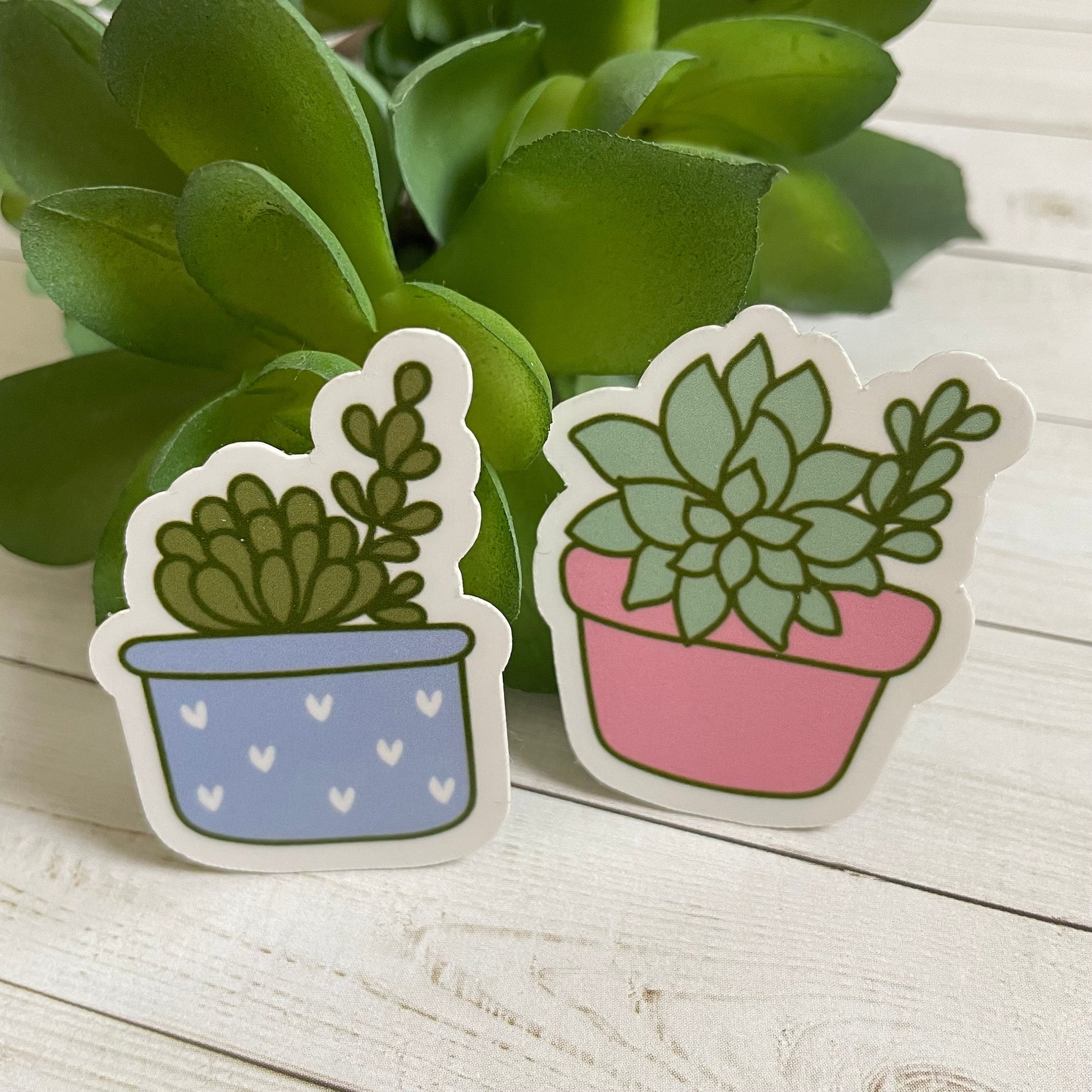 aesthetic succulent stickers Cactus Vinyl Sticker Set – Emma Pink Studio