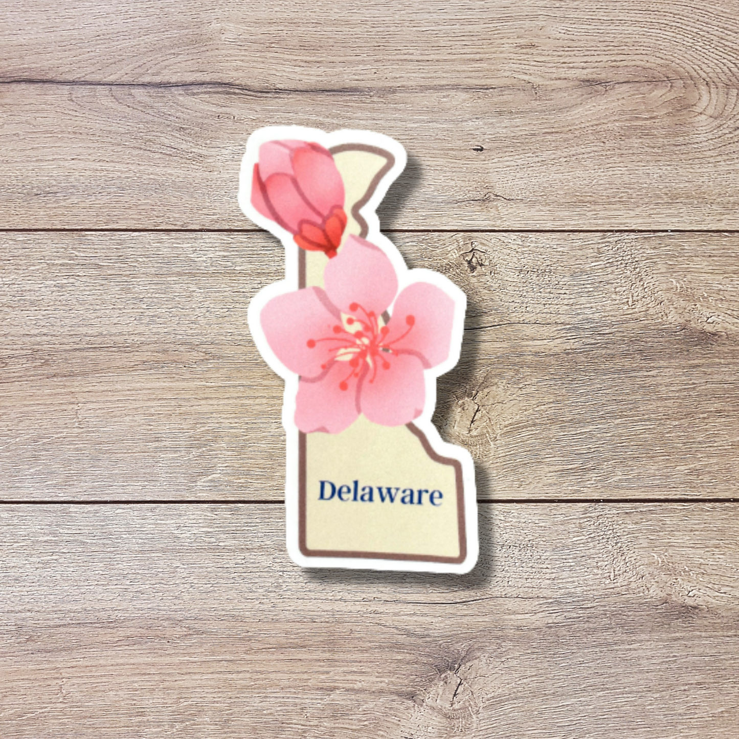 Delaware State Flower Vinyl Sticker